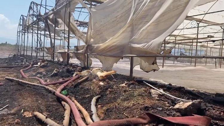 Otluk alanda başladı orman ve seralara sıçradı - Resim: 6